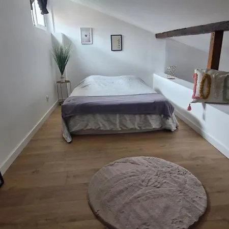 Le Duplex Toulousain 公寓