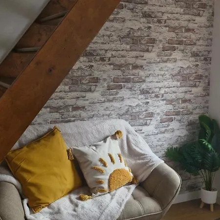 דירה Le Duplex Toulousain טולוז